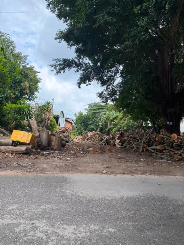Bán đất hẻm 269 Nguyễn Thị Minh Khai Thành phố Thủ Dầu Một, Bình Dương – giá 8.1 tỷ